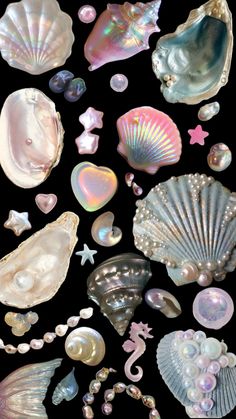 an assortment of seashells and pearls on a black background