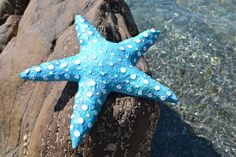 a blue starfish sitting on top of a rock next to the ocean