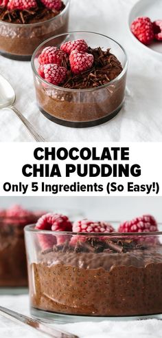 Chocolate Chia Pudding Chia Dessert, Chia Pudding Vegan, Healthy Vegan Dessert, Chocolate Chia Seed Pudding, Chia Pudding Recipe, Pudding Chia, Cheesecake Vegan, Healthy Dessert Recipes Easy, Chia Seed Recipes Pudding