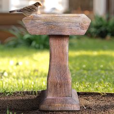 a small bird perched on top of a wooden pedestal in the grass near a house