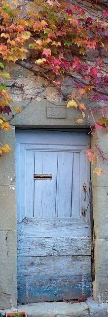 an old door with vines growing over it