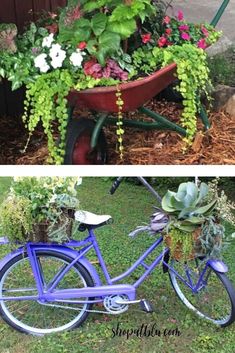 two pictures side by side one has a blue bike and the other has flowers in it