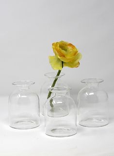 three clear vases with a single yellow flower in them