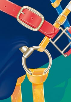 an image of a pair of colorful belts with buckles and rings hanging from them