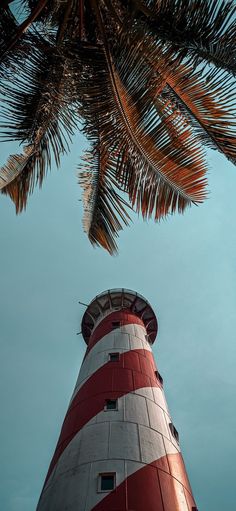 looking up at the top of a tall red and white lighthouse with palm trees in the foreground