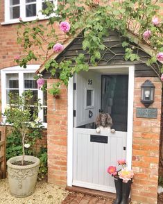 a dog sitting in the doorway of a brick building with flowers growing on it's side