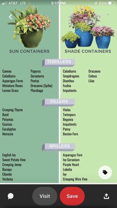 an iphone screen showing different types of flowers and plants in vases on the same page