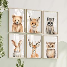 four pictures of animals are hanging on the wall