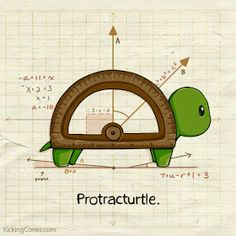 a drawing of a turtle driving a car with the words protracturite on it