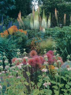 the garden is full of colorful flowers and plants, including tall grass with long stems