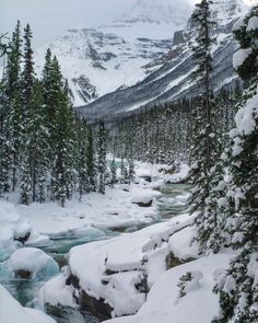 snow covered mountains and trees near a river in the middle of winter with water running through it