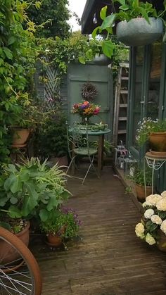 It's a soft day here in Dublin which means the rain is a cross between mist and drizzle and is sometimes referred to as "mizzle" 😂 . The… | Instagram Hacienda Style Homes, Container Gardening Flowers, Hacienda Style, Most Beautiful Gardens, City Garden, Rustic Garden Decor, Garden Cottage