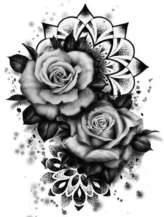 some black and white roses on a white background