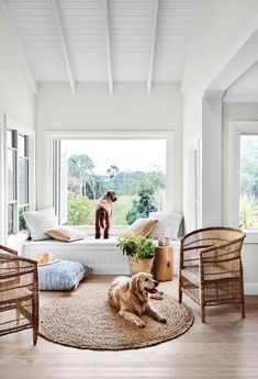 a dog is sitting in the window sill