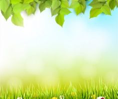 green grass and flowers with blue sky in the background