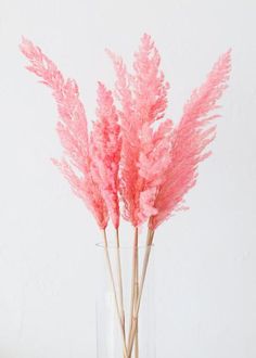 some pink flowers in a clear vase on a white table with the words afloral above it