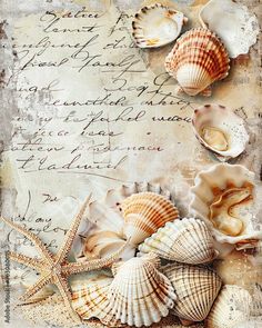 seashells and starfish on an old handwritten message