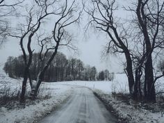 a snow covered road surrounded by trees in the middle of winter with lots of snow on the ground