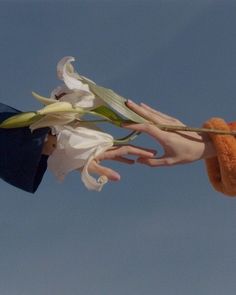 two hands reaching up into the air to catch a flower with their fingers, against a blue sky background