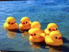 five yellow rubber ducks sitting in the water