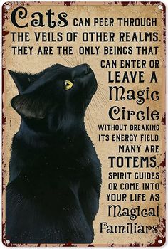 a black cat with yellow eyes is shown in this metal sign that says, cats can peer through the veils of other relatives they are the only beings that can enter