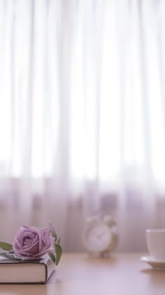 a pink rose sitting on top of a book next to a cup and saucer