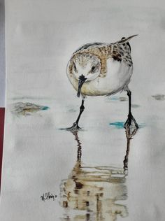 a drawing of a bird standing in the water