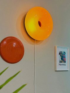 an orange object is hanging on the wall next to a framed photo and a yellow frisbee