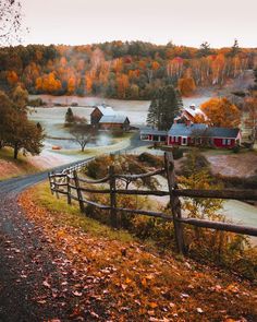 an autumn scene with a country road in the foreground and houses on the other side