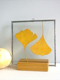 a yellow flower sitting on top of a wooden block next to a white wall and a pumpkin