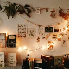 there are many pictures on the wall with lights strung from it and some books in front of them