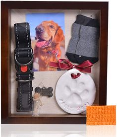 a dog's paw and collars are displayed in a shadow box with an orange tag