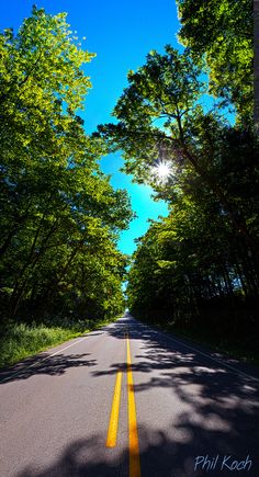 the road is lined with trees on both sides and yellow lines painted on the side