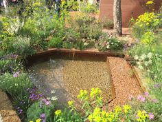 a garden filled with lots of plants and flowers next to a pond full of water