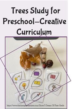 trees study for preschool - creative curioum with the title tree study for preschool - creative curioum