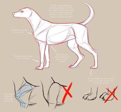 how to draw a dog step by step drawing instructions for beginners and advanced artists