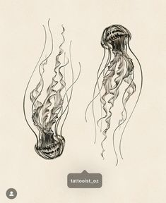 an image of two jellyfishs drawn in ink on paper with the caption tattooist - o2