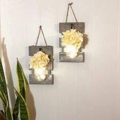 two hanging lights with flowers in them on a wall next to a potted plant