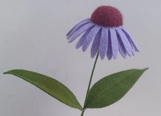 a purple flower with green leaves in a vase