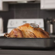 a cooked turkey in a roasting pan with a magnifying glass on top