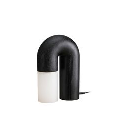 a black and white object on a white background with a cord attached to it's end