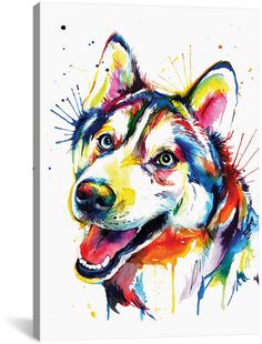 a dog with colorful paint splattered on it's face and head, in front of a white background