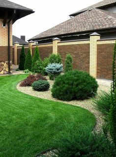 a yard with green grass and shrubs