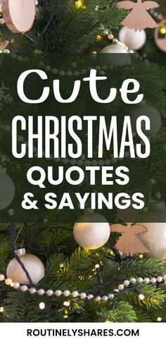 Decorated Tree with the words cute Christmas quotes and sayings Christmas Cardinal Quotes, All I Want For Christmas Is You Quotes, Christmas Holiday Quotes, Christmas Memories Quotes, Christmas Sayings And Quotes Short, Christmas Picture Quotes, Merry Christmas Quotes Aesthetic, Christmastime Aesthetic, Funny For Instagram