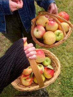 two baskets filled with apples sitting on top of a grass covered field next to each other