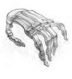 a drawing of a skeleton hand