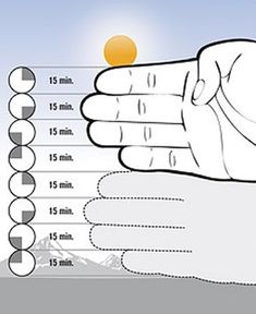 a hand holding an orange in the middle of it's fingers with measurements on each side