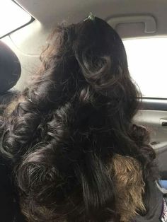 Black Hair Curly, Scrunchie Bun, Emory Scott, Gorgeous Birthday, Birthday Hairstyles, Beautiful Long Hair