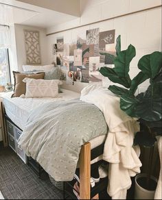 a bed room with a neatly made bed and a plant