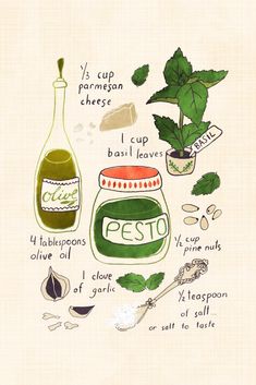 the ingredients for pesto are shown in this hand drawn illustration, which includes pepper, parmesan cheese and basil